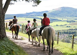 Pony Trekking Holidays