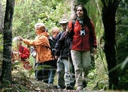 Trekking Holidays In New Zealand
